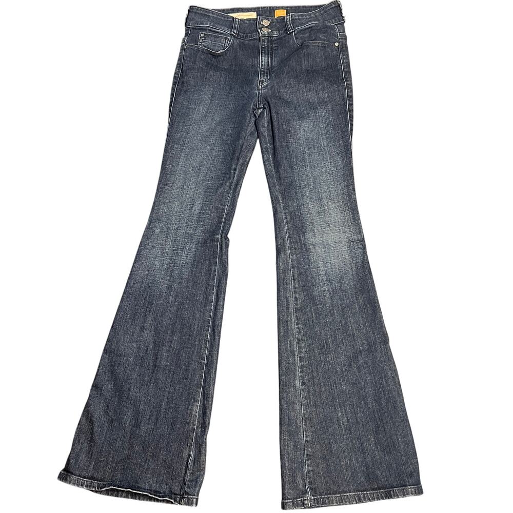 PILCRO AND THE LETTERPRESS Superscript Flare Leg Jeans Size 29